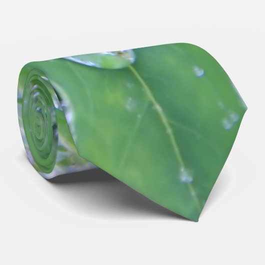 Dewdrop Stropdas (Opgerold)