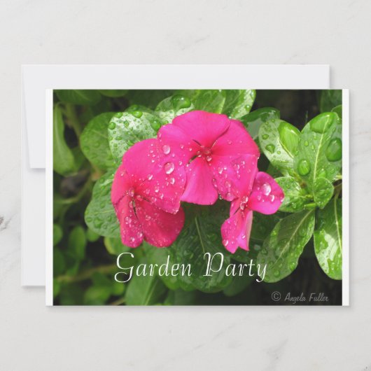 Dewdrops sur les invitations à la fête du jardin d (Devant)