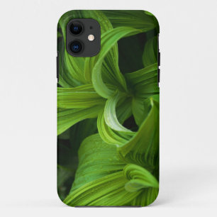 Dewdruppels op een False Helabore iPhone 11 Hoesje