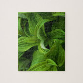 Dewdruppels op een False Helabore Legpuzzel (Verticaal)