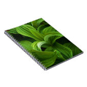 Dewdruppels op een False Helabore Notitieboek (Rechterzijde)