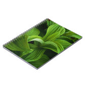 Dewdruppels op een False Helabore Notitieboek (Linkerzijde)