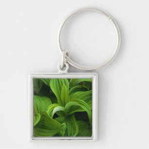 Dewdruppels op een False Helabore Sleutelhanger