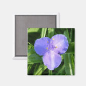 Dewy Trillium Spring Wildflower Magneet (Voorkant / Achterkant)