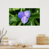 Dewy Trillium Spring Wildflower Poster (Keuken)
