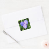 Dewy Trillium Spring Wildflower Vierkante Sticker (Envelop)