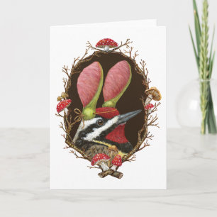 Dexter la carte sapsucker