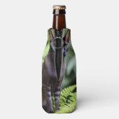 Dexter Le Chat Siamois Noir, Glacière De Bouteille (Bouteille Dos)