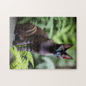 Dexter Le Chat Siamois Noir, Puzzle Jigsaw (Horizontal)