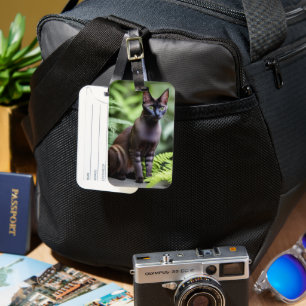 Dexter The Black Siamese Cat, Bagagelabel