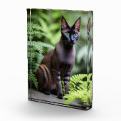 Dexter The Black Siamese Cat, Photo Block Fotoblokken (Rechts)