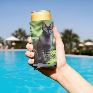 Dexter The Black Siamese Cat, Seltzer Koelbox