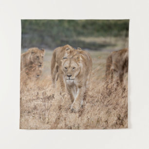 DEZE DIEREN HEBBEN NIET GEZIEN DAT DE SCHADE OPKOM WANDKLEED