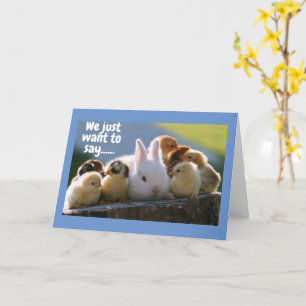 DEZE DOCUMENTEN ZEGGEN **MOOI BIRTHDAAG** GROEPSKA KAART