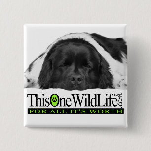 Deze ene Button uit het wild leven
