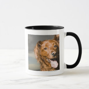 Deze hond is een deel gouden rekruut. mok