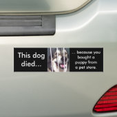Deze hond stierf bumpersticker (Op auto)