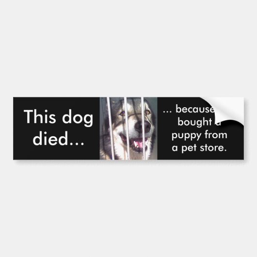 Deze hond stierf bumpersticker (Voorkant)
