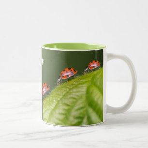 Deze kleine lieveheersbeestjes geven een geluksdag tweekleurige koffiemok