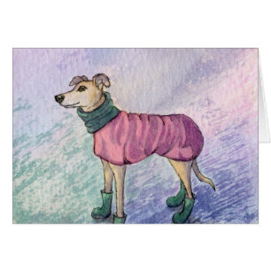 Deze knuppel wil weten waar haar pet is...