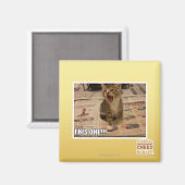 Deze! Magneet (Voorkant / Achterkant)