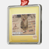 Deze! Metalen Ornament (Links)