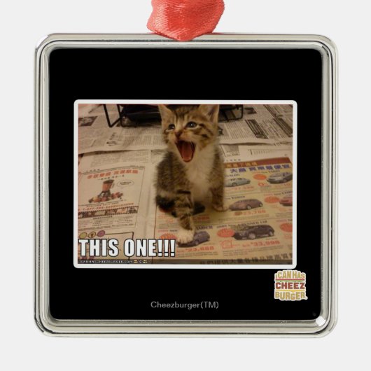 Deze! Metalen Ornament (Voorkant)