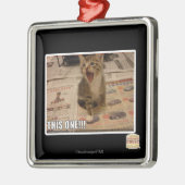 Deze! Metalen Ornament (Links)