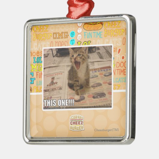 Deze! Metalen Ornament (Links)