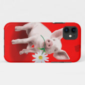 Deze pik is in Love iPhone 5 Hoesje (Achterkant (horizontaal))