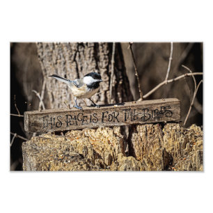 Deze plek is voor de vogels foto afdruk