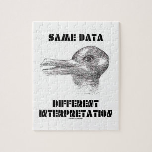 Dezelfde Data Different Interpretation (Duck Rabbi Legpuzzel