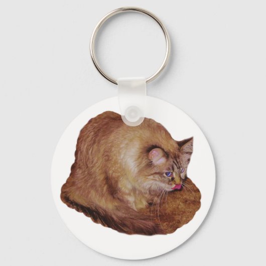 Dezi's Kat Raspberry sleutelhanger (Voorkant)