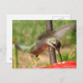 DG Hummer briefkaart (Voorkant / Achterkant)