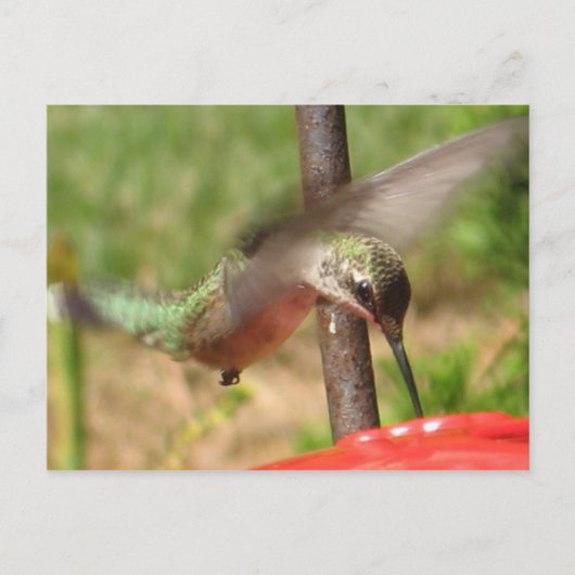 DG Hummer briefkaart (Voorkant)