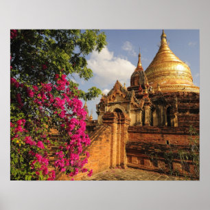 Dhamma Yazaka Pagoda in Bagan (Pagan), Myanmar Poster