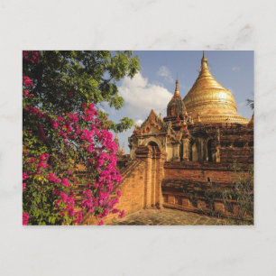 Dhamma Yazaka Pagode in Bagan (Pagan), Myanmar Briefkaart