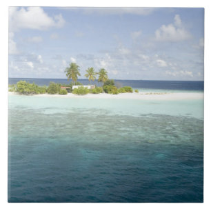 Dhiggiri-eiland, Zuid-Ari-atol, Malediven, Tegeltje