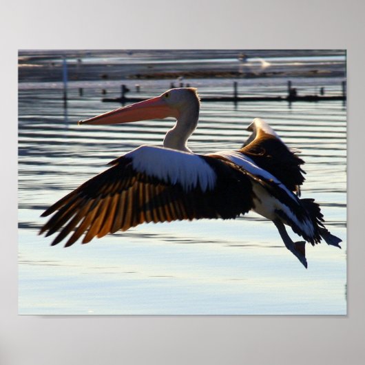 dia poster (Voorkant)