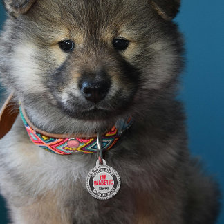 Diabetes Huisdier Medische Waarschuwing Aangepaste Huisdierpenning