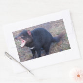 Diable de Tasmanie - Stickers (Enveloppe)