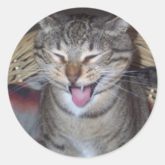 Diablo-Kat Ronde Sticker
