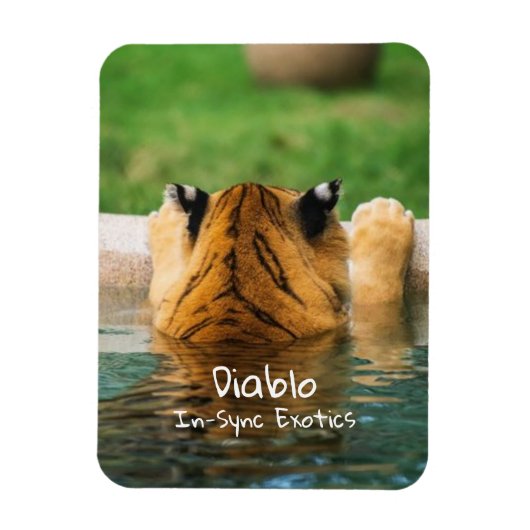 Diablo - magneet (Verticaal)