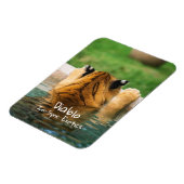 Diablo - magneet (Linkerzijde)