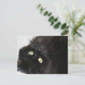 Diabola The Devil's Cat Briefkaart (Staand voorkant)