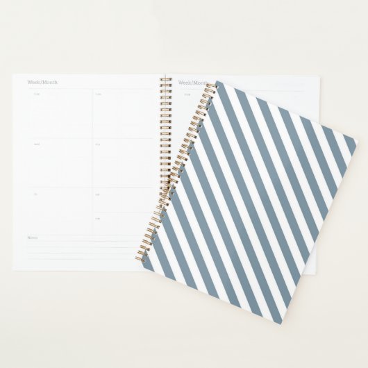 Diagonal blue and white stripes pattern planner (Display)