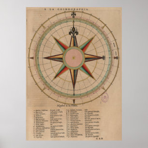 diagram Roos (1664) Poster