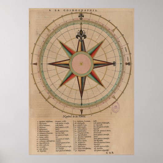  diagram Roos (1664) Poster (Voorkant)