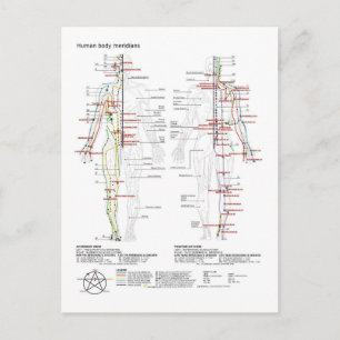 Diagram Schematisch Chinese Meridianen Menselijk L Briefkaart