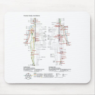 Diagram Schematisch Chinese Meridianen Menselijk L Muismat